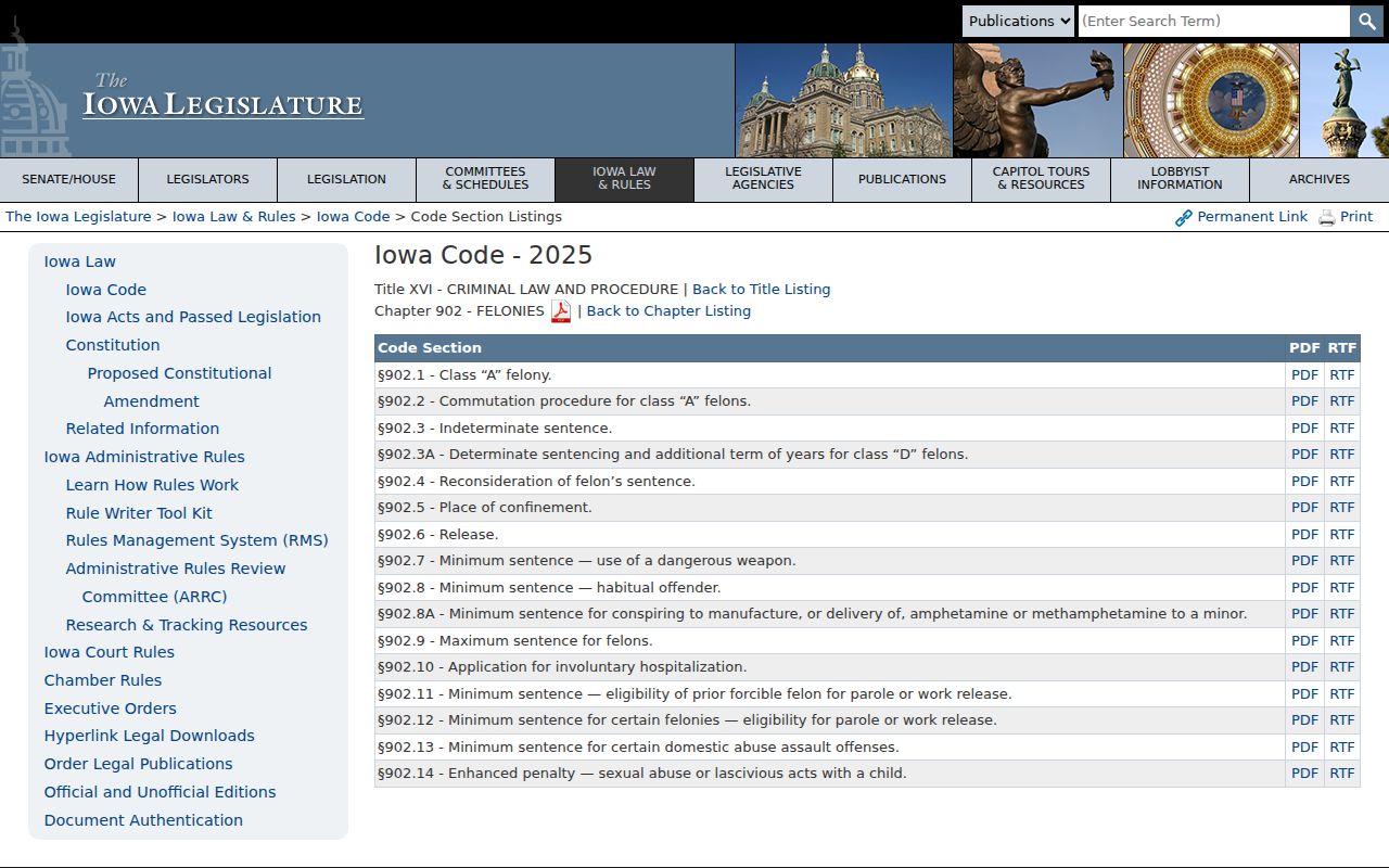 Pulaski criminal case record research in the Iowa felony sentencing chapter
